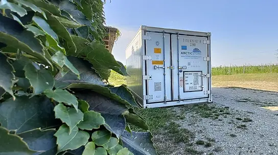 Stockage frigorifique pour le secteur vitivinicole