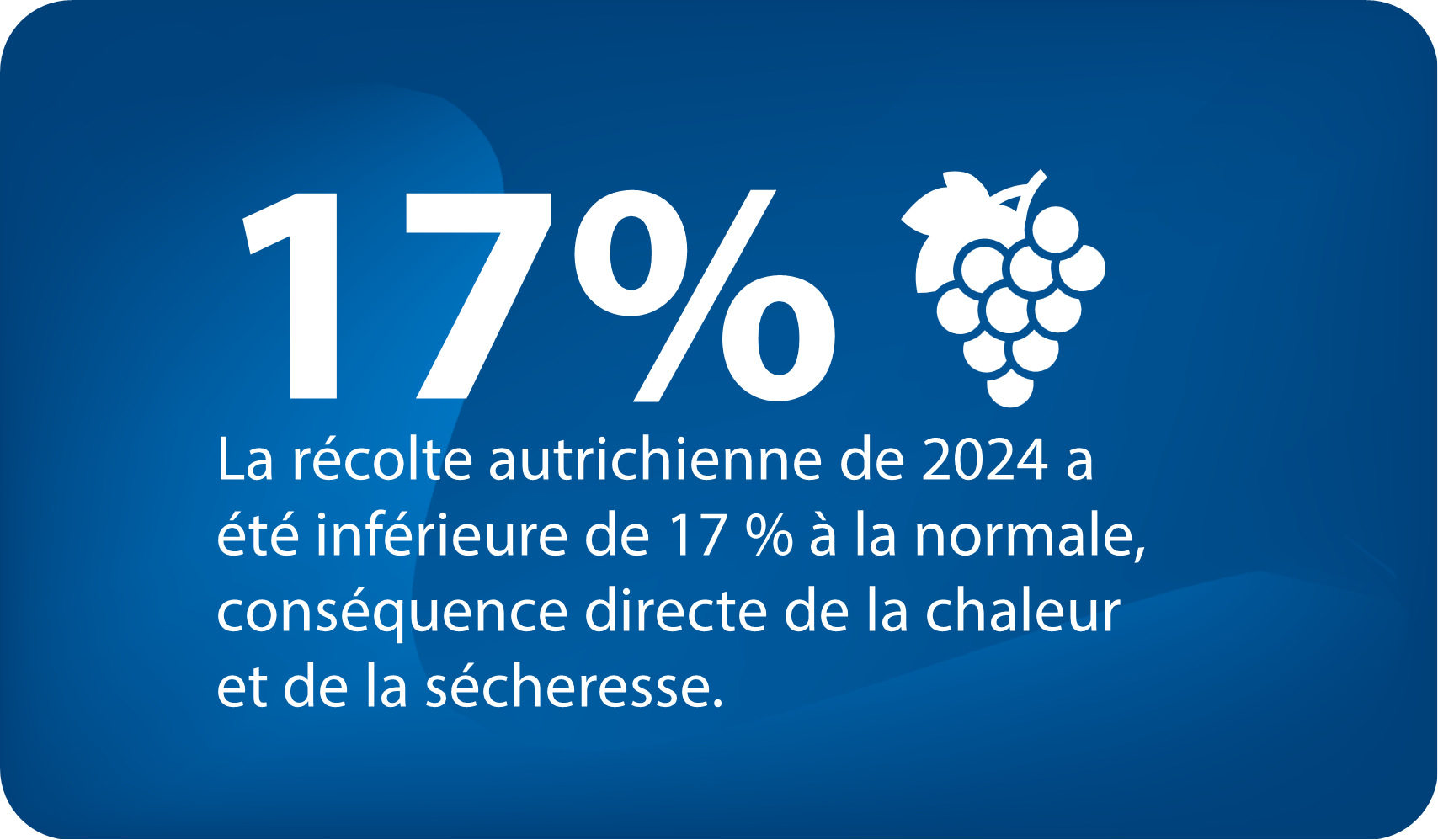 Stockage frigorifique pour le secteur vitivinicole