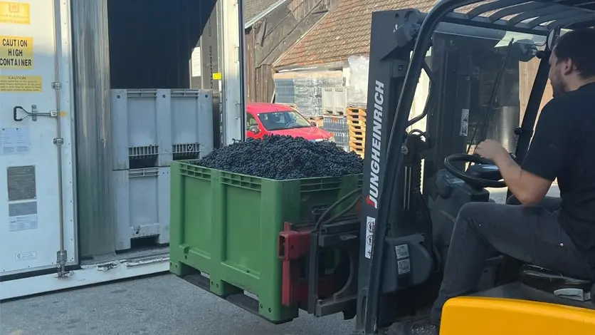 Stockage frigorifique pour le secteur vitivinicole