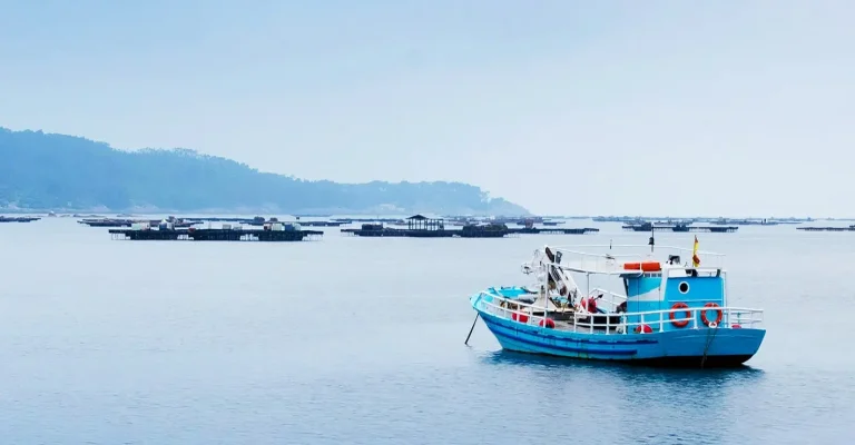 TITAN fournit une chambre froide pour la recherche sur le thon